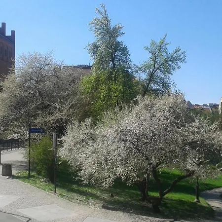 Mieszkanie W Kamienicy Przy Starowce Olsztyn  Exterior photo