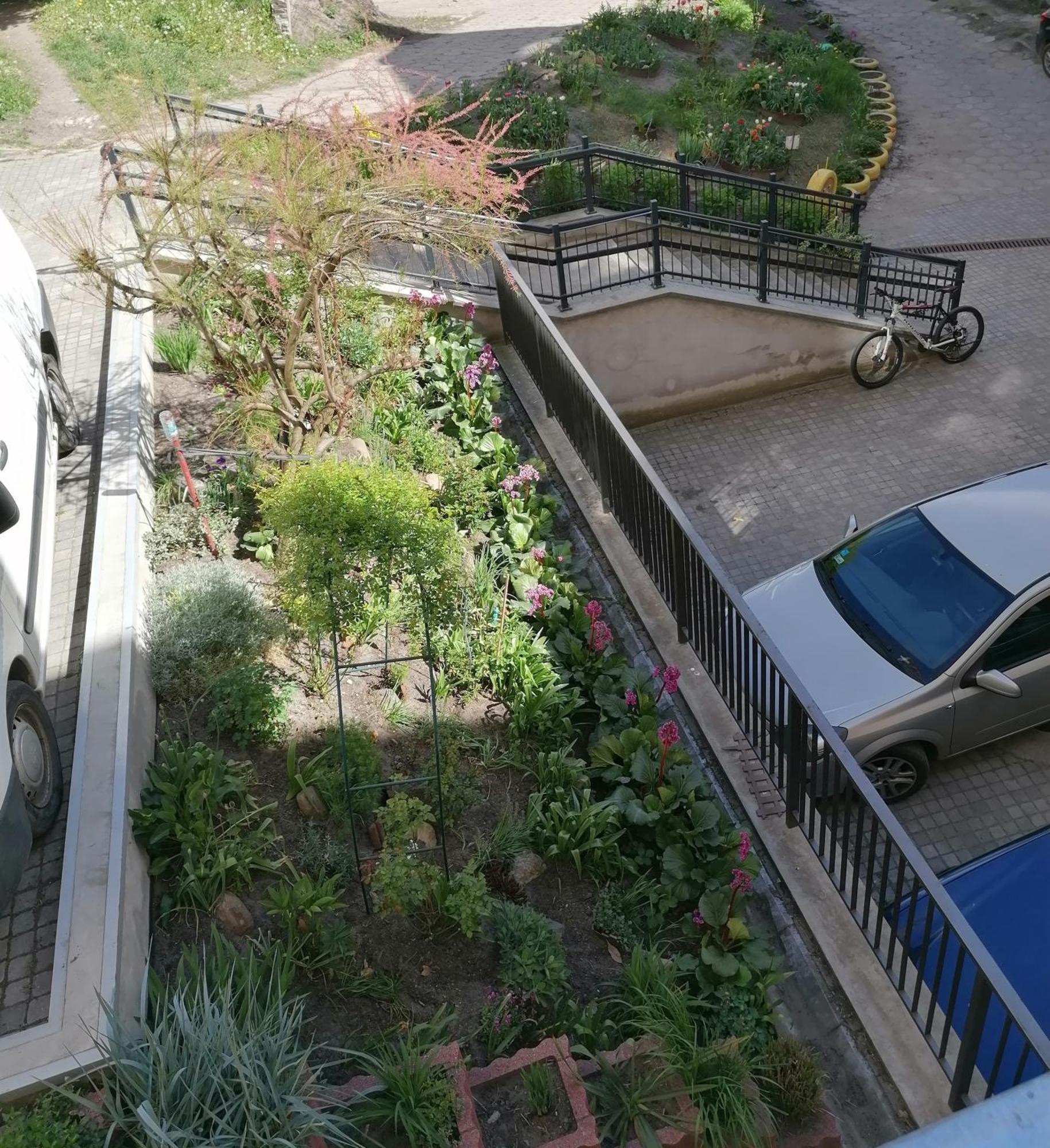 Mieszkanie W Kamienicy Przy Starowce Apartment Olsztyn (Warmian-Masurian)